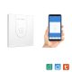 BlitzWolf BW-SS9 - Smart wall light touch switch with 1pcs switch - Google Home, Amazon integrability