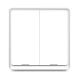 RSH ESW-2WAA-EUWiFi - SMART, wall-mounted, mechanical button lighting switch, with 2 switch - Tuya App, Google Home, Amazon