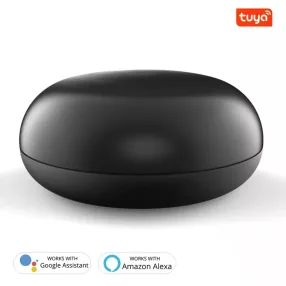   RSH IR02 smart infrared remote control - TV, air conditioner, etc. for its control over the Internet. Timing, voice instructions, 360° range